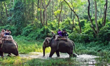 chitwan national park